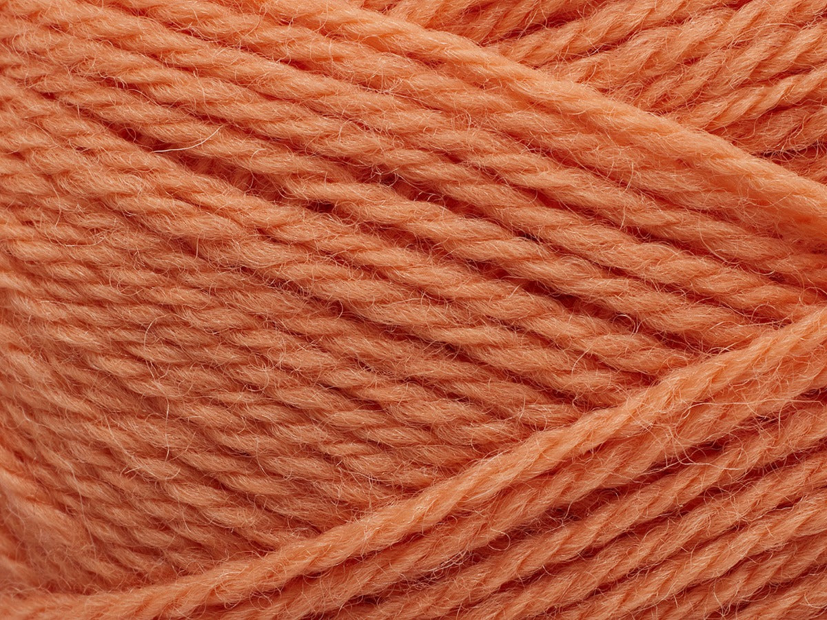 254 Coral